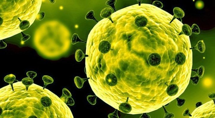 Cos’è il CoVID-19 e come la fisioterapia può aiutare